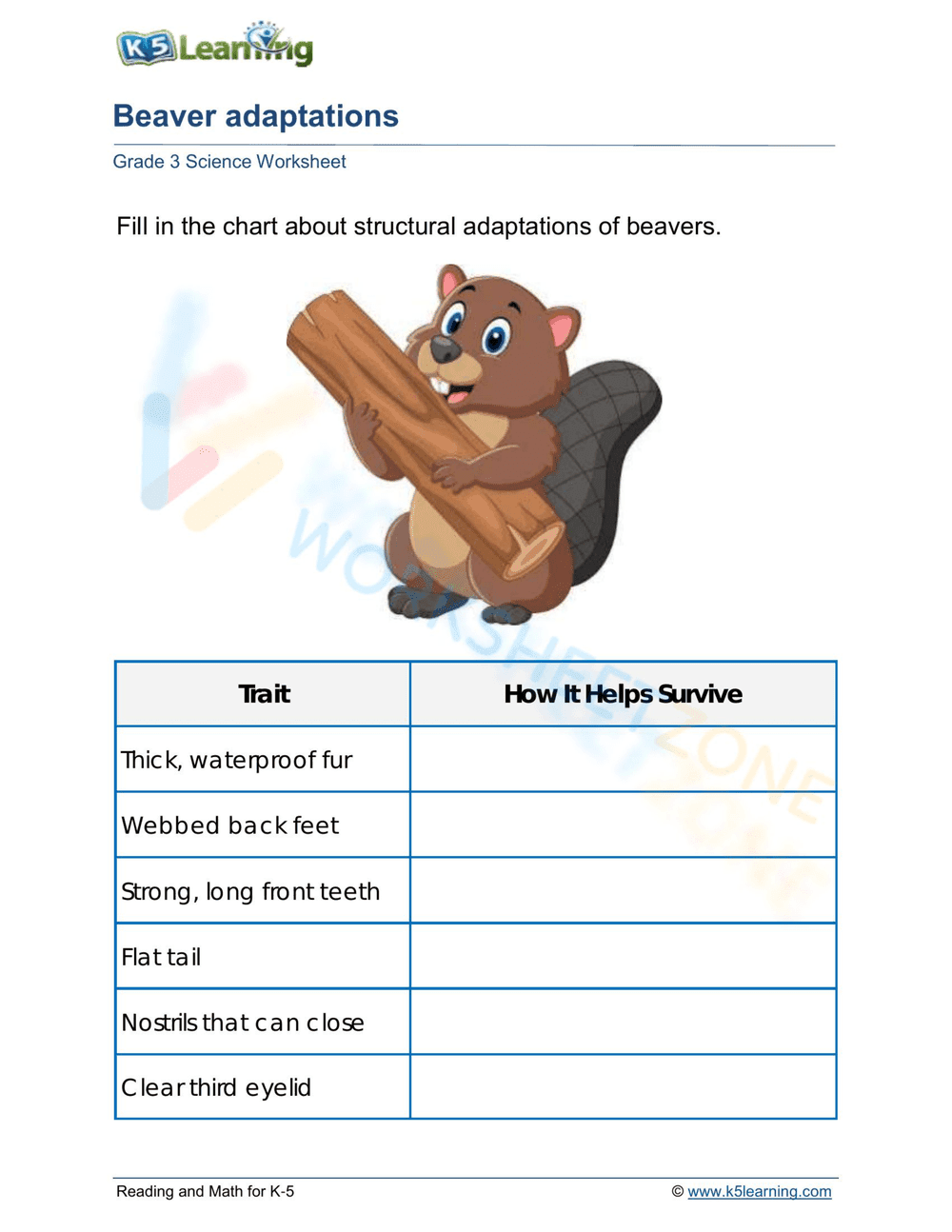 Beaver adaptations - Page 1