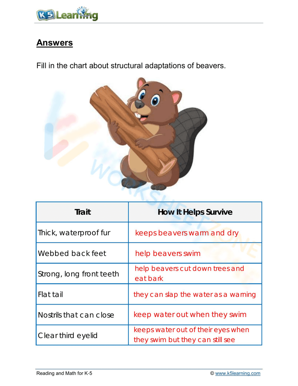 Beaver adaptations - Page 2