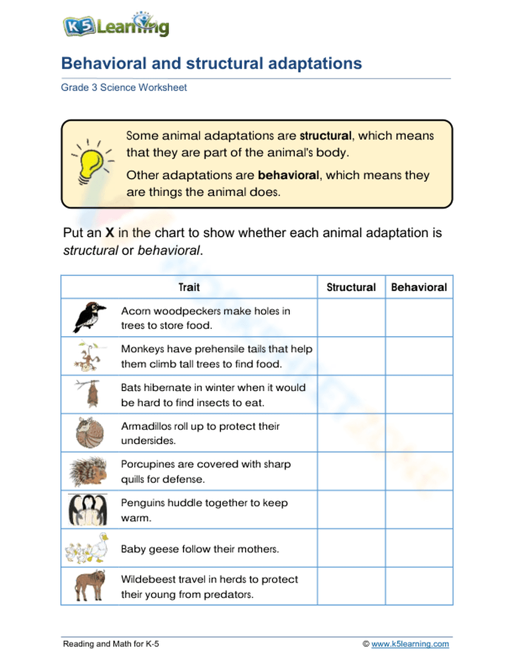 Structural vs. behavioral - Page 1