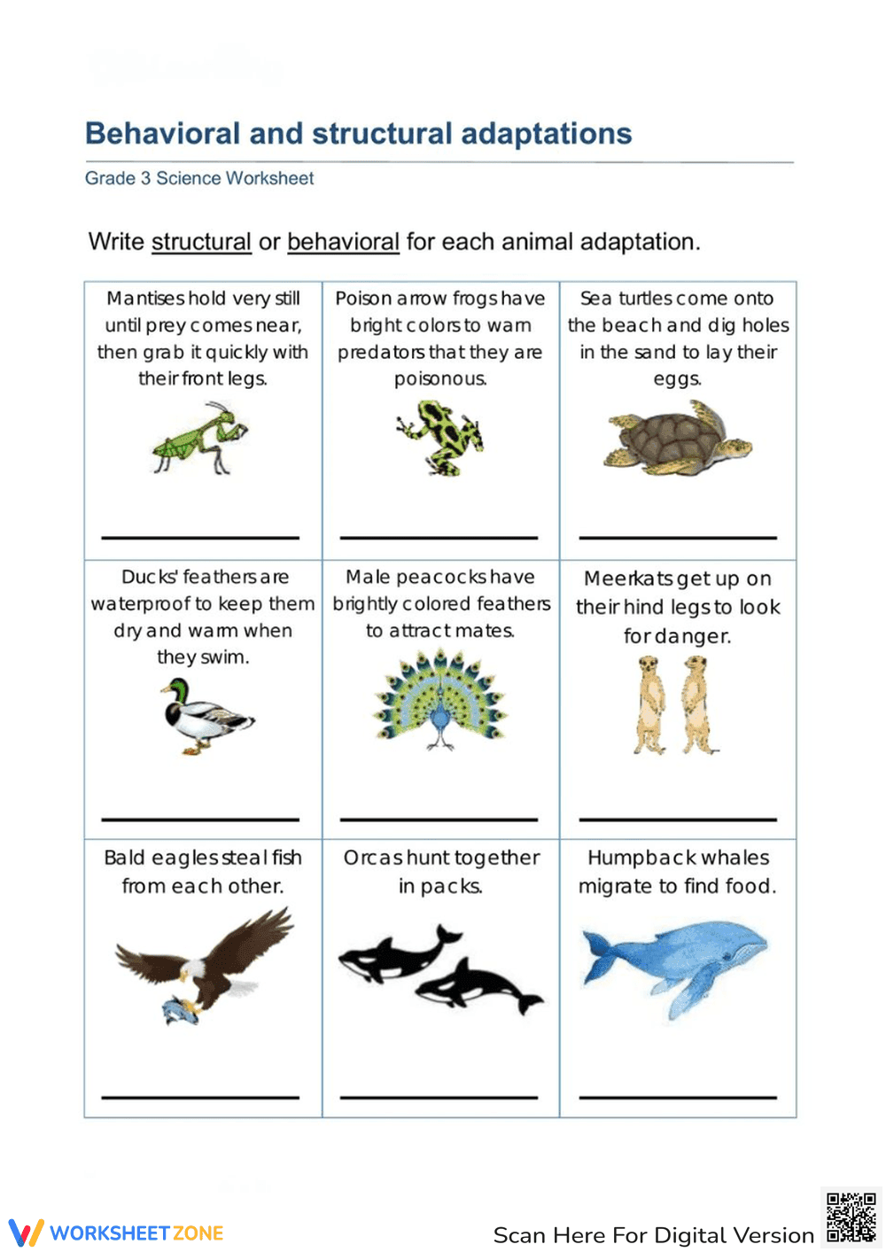 Science Worksheet on Animal Adaptations - Page 1