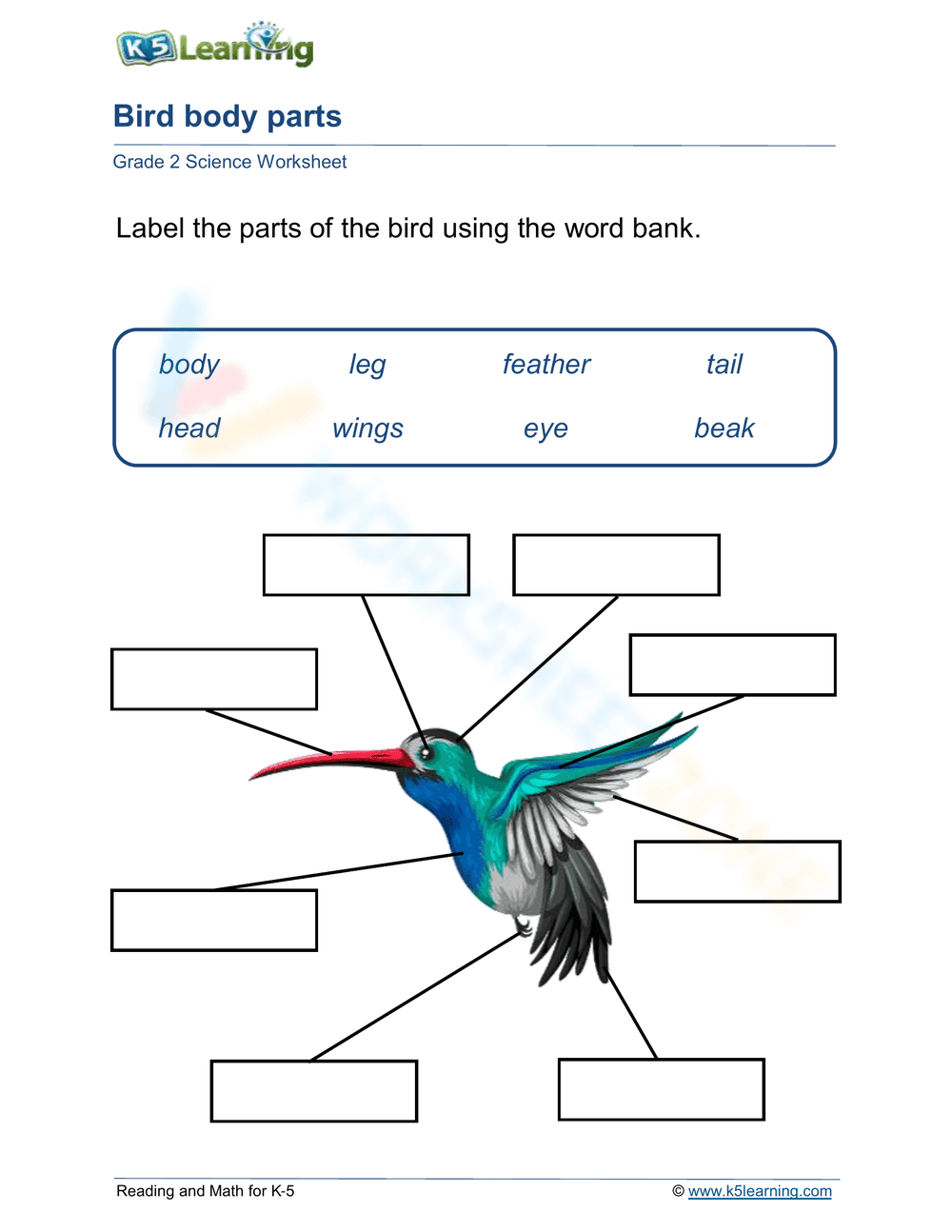 Bird body parts - Page 1