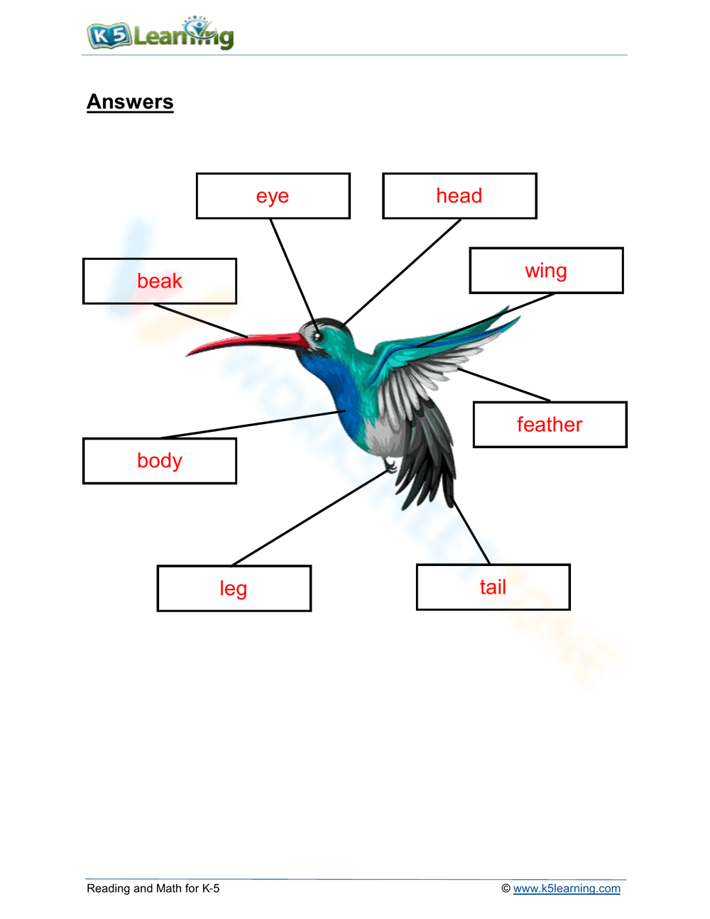 Bird body parts - Page 2