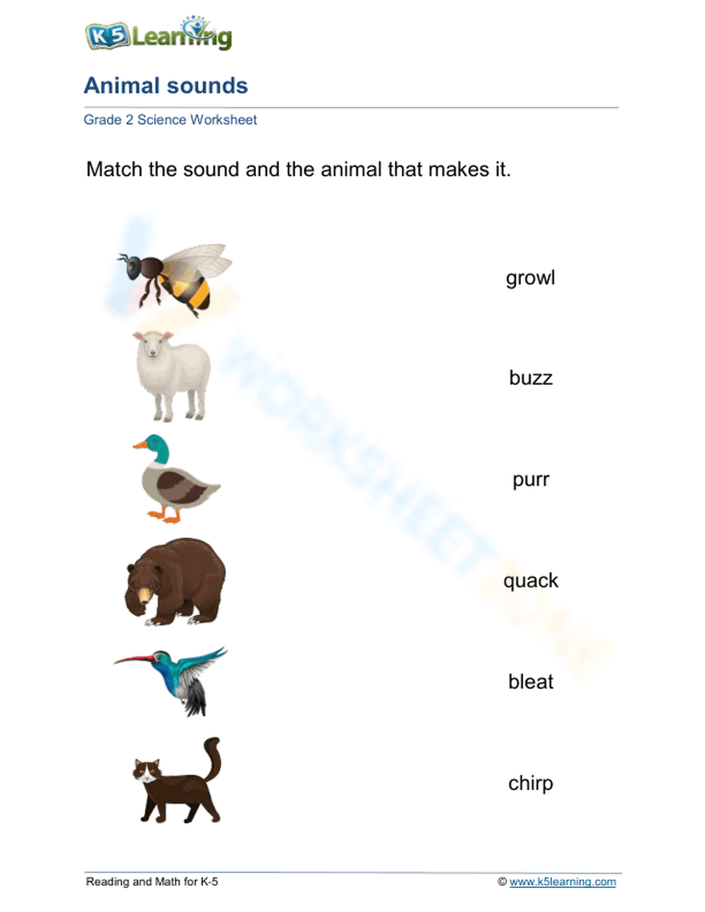 Animal Sounds - Page 1