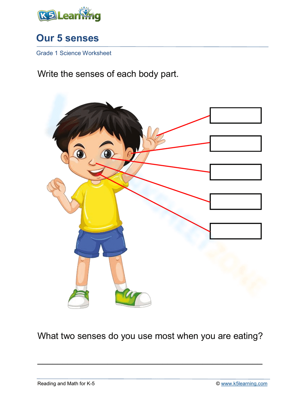 Our 5 senses - Page 1