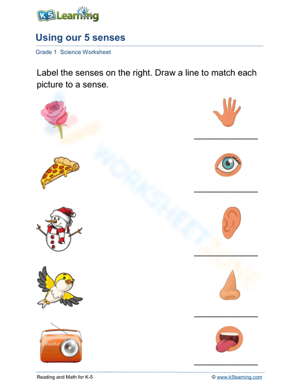 Using Our 5 Senses - Page 1