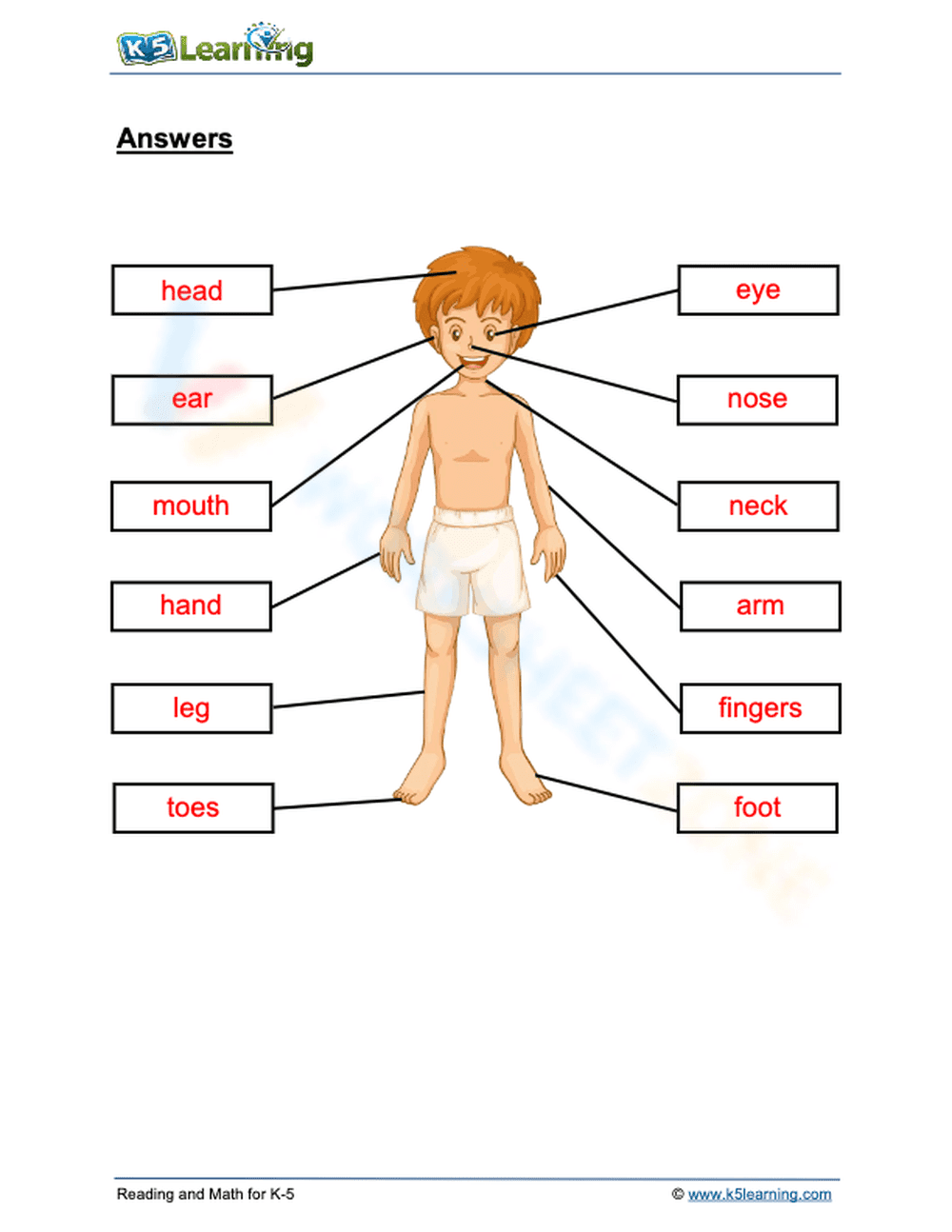 Parts of the Body - Page 2