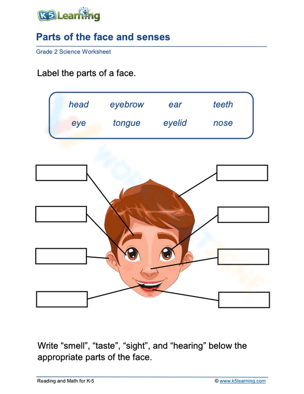 Parts of the face and senses - Page 1