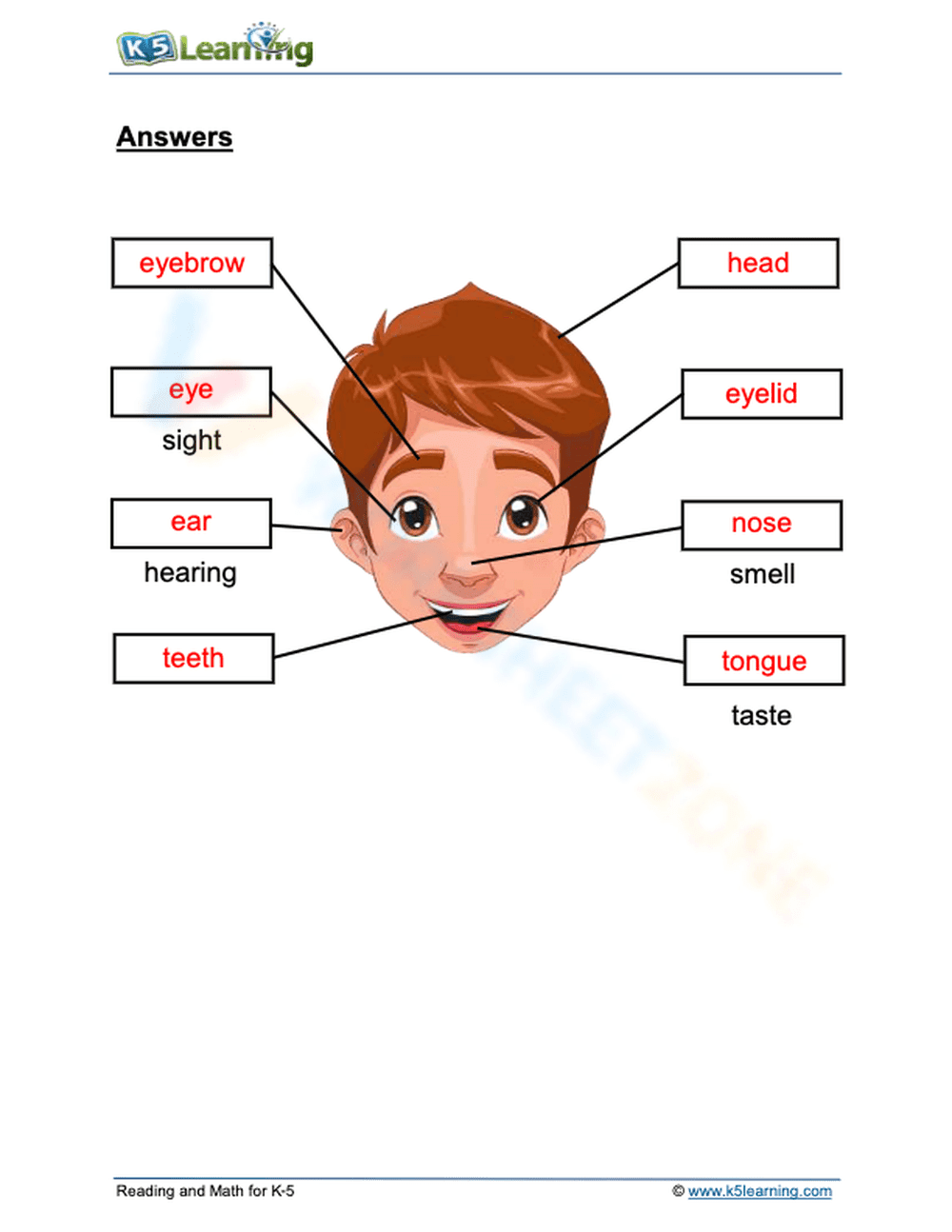 Parts of the face and senses - Page 2