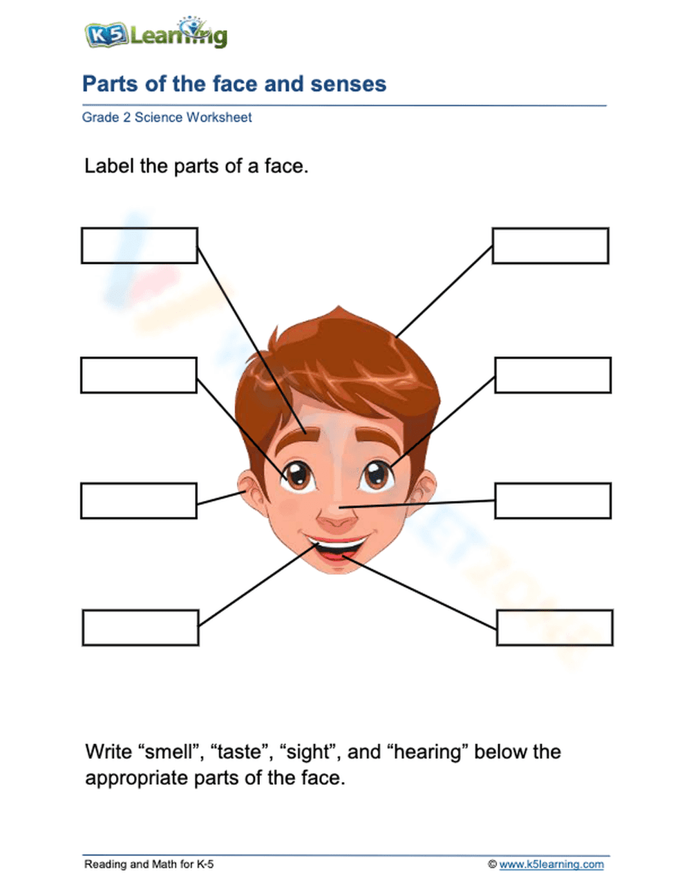 Parts of the face and senses 2 - Page 1