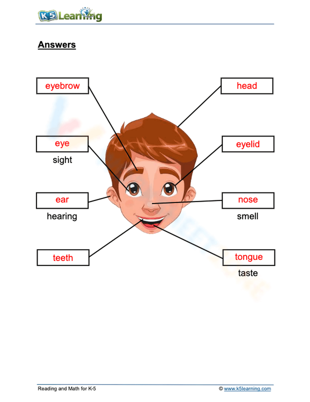 Parts of the face and senses 2 - Page 2