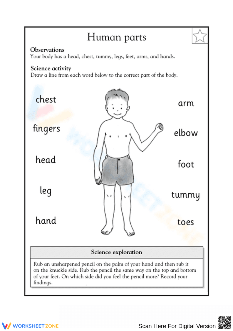 Label the Human Body - Page 1