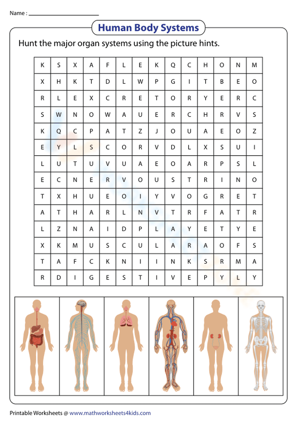 Human Body Systems | Word Search - Page 1
