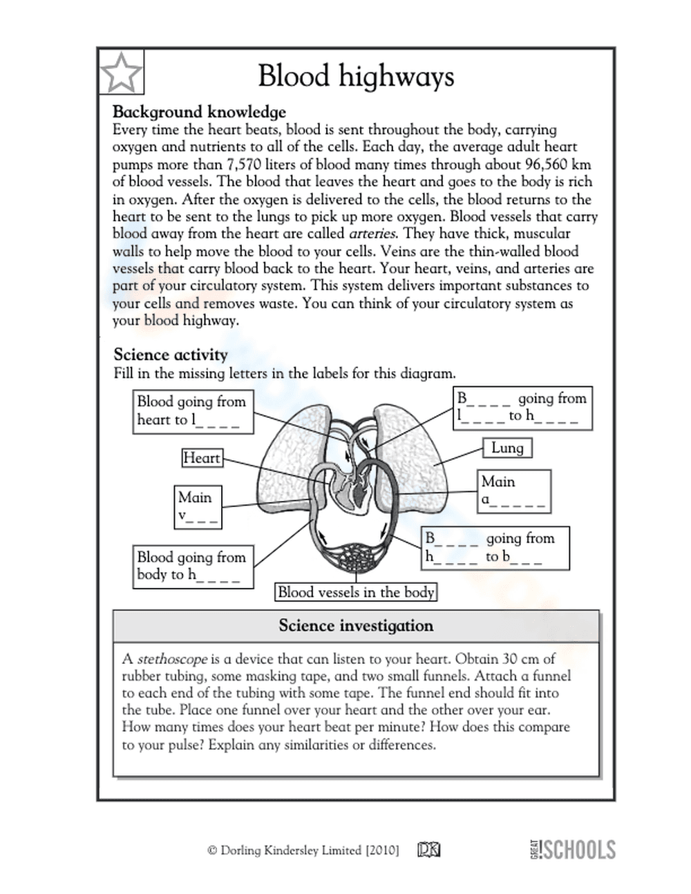Parts of the human heart - Page 1