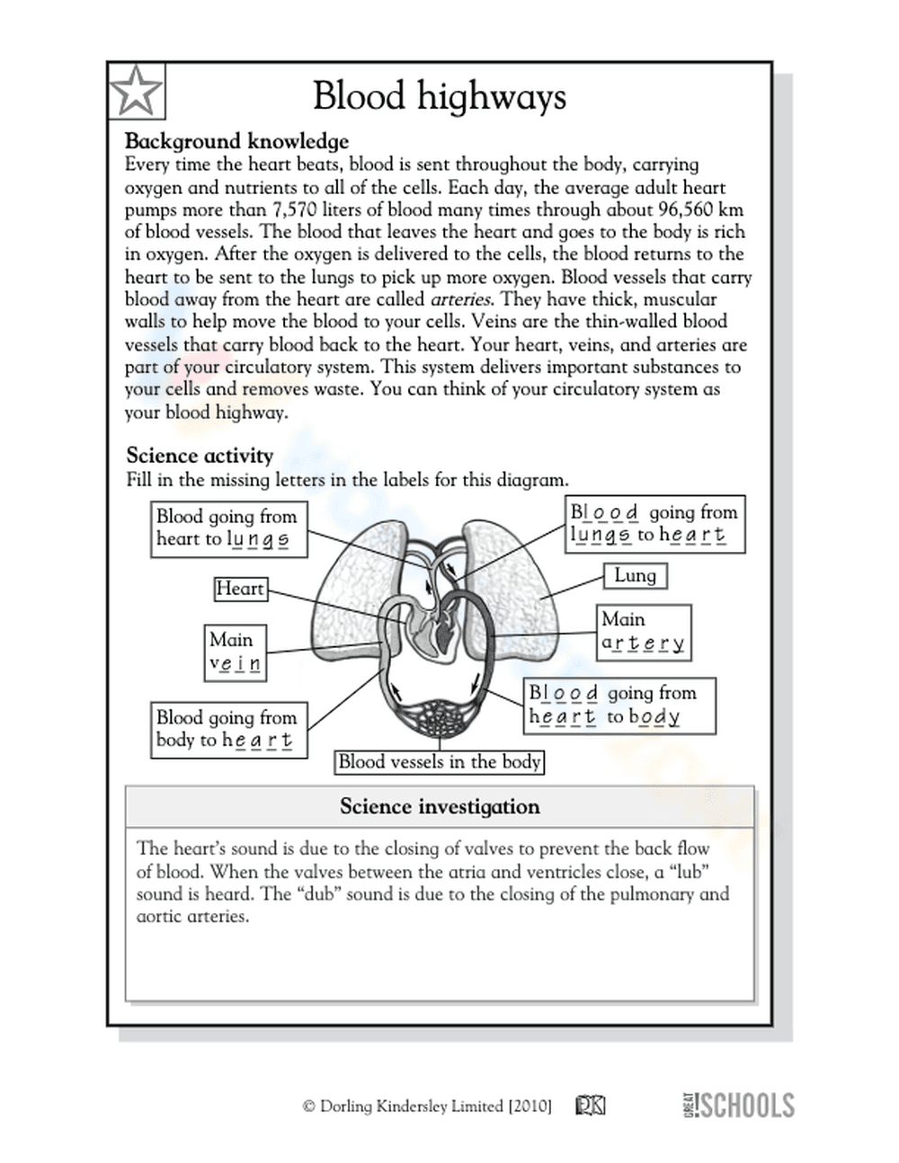 Parts of the human heart - Page 2