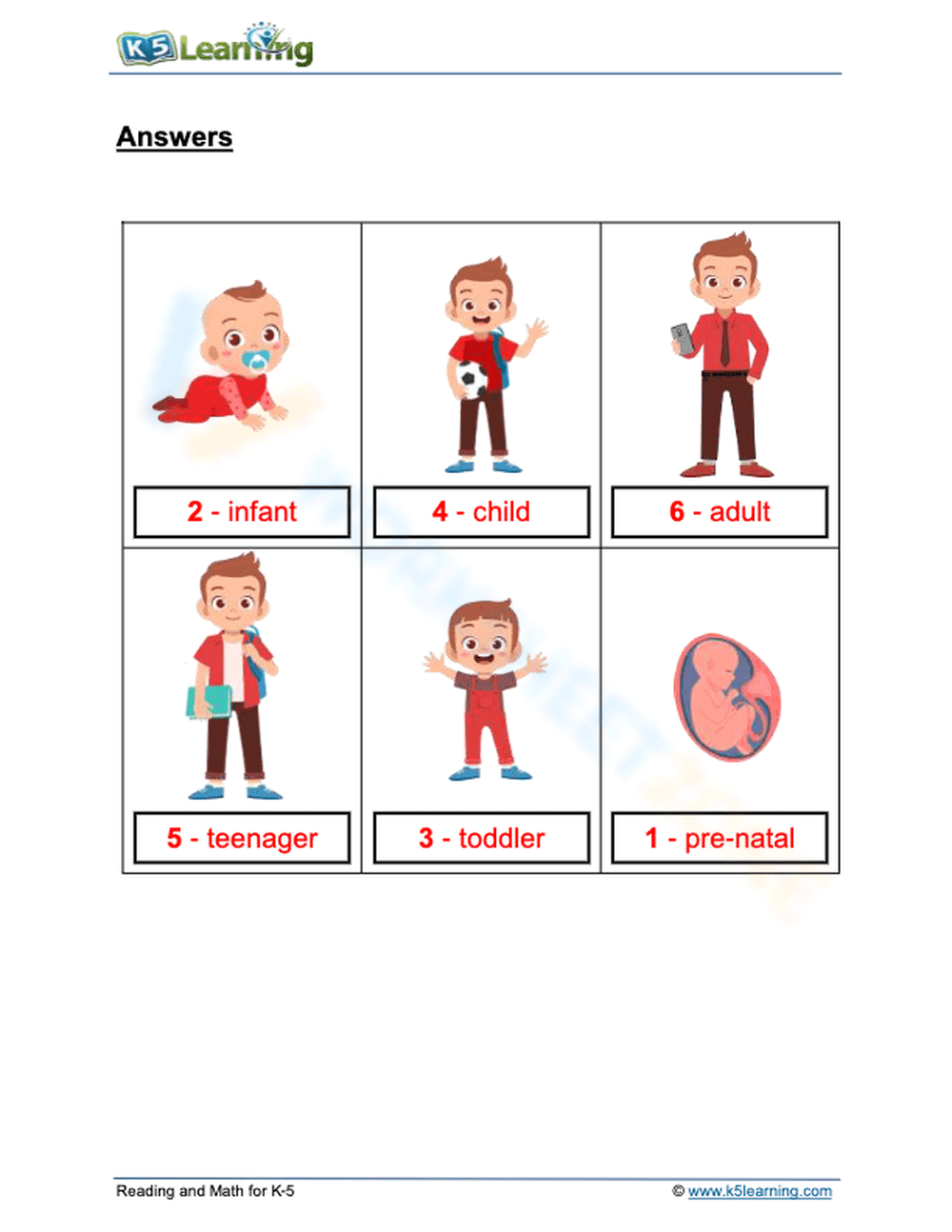 Human Life Cycle - Page 2