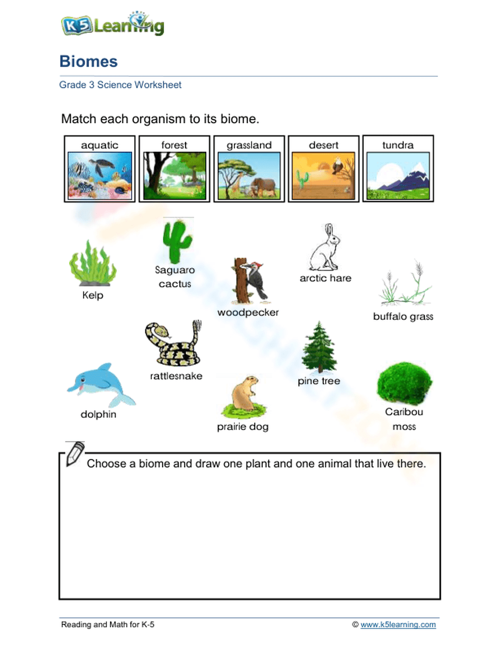 Earth's Biomes - Page 1