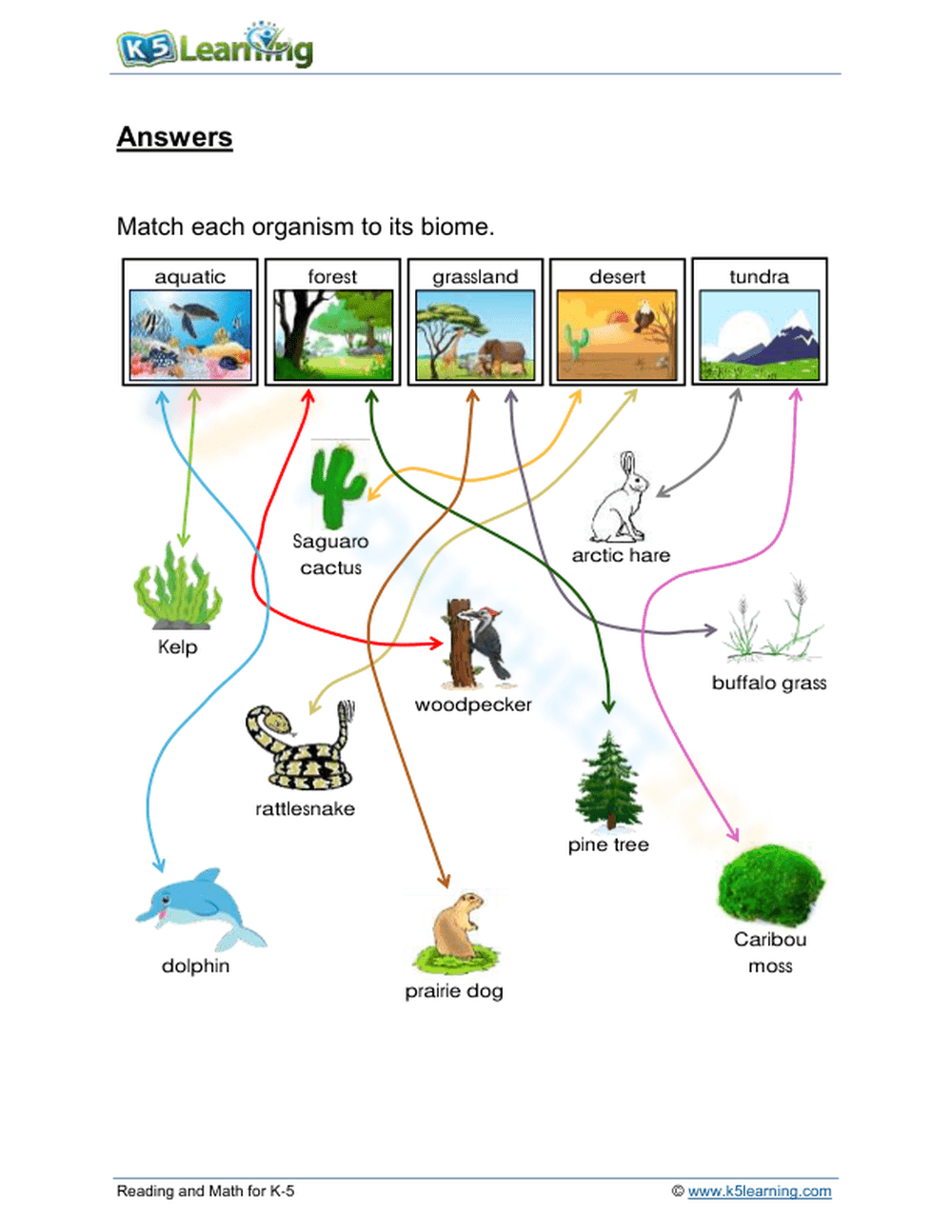 Earth's Biomes - Page 2