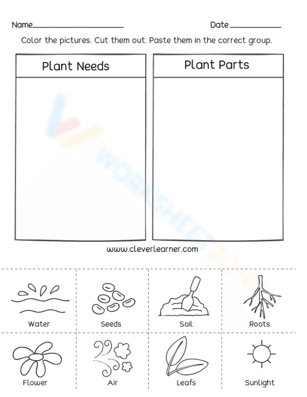 Plant needs and plant parts - Page 1