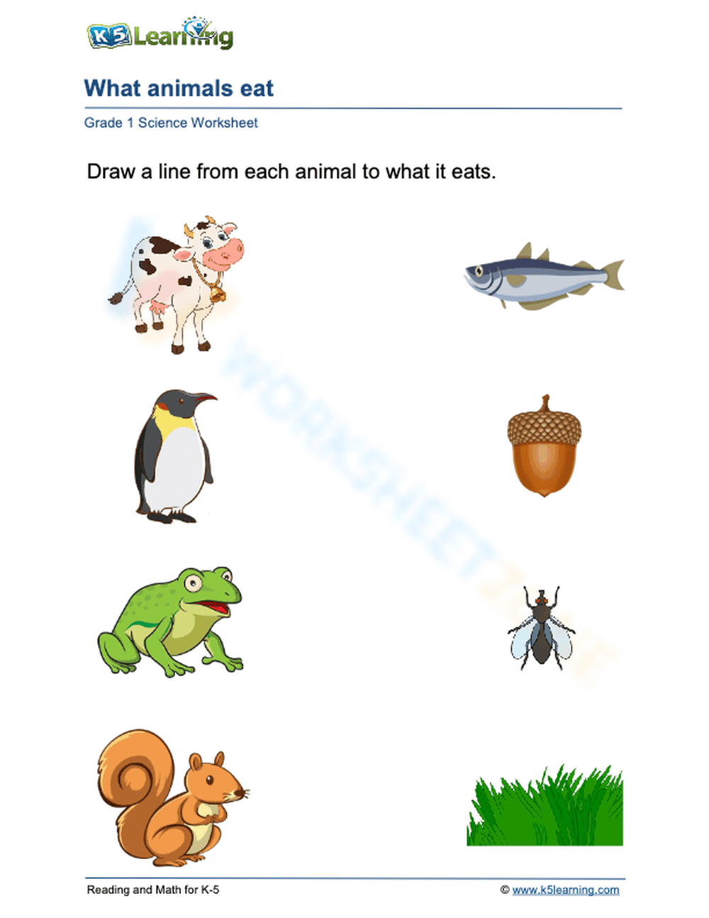 What animals eat 1 - Page 1