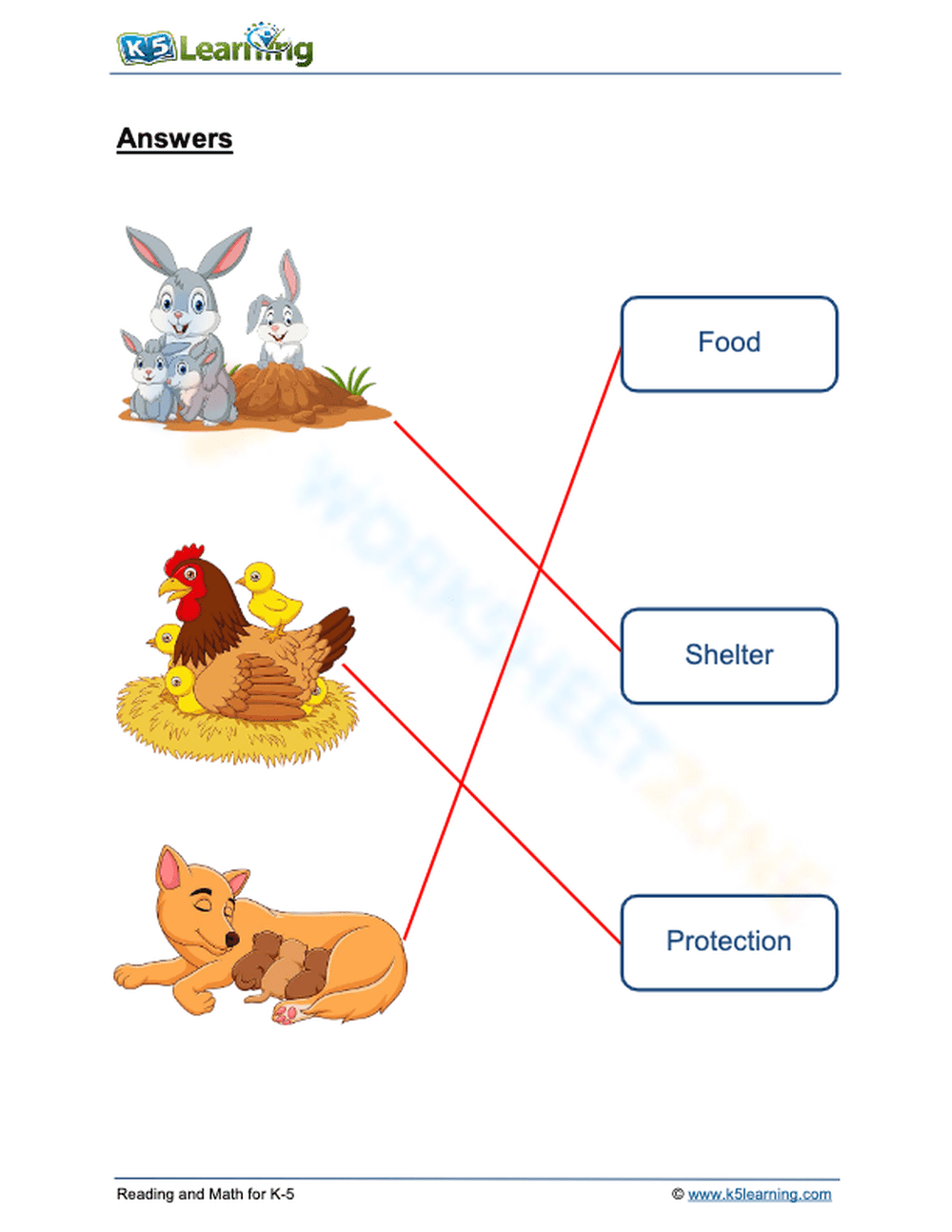 How animals help their young 2 - Page 2