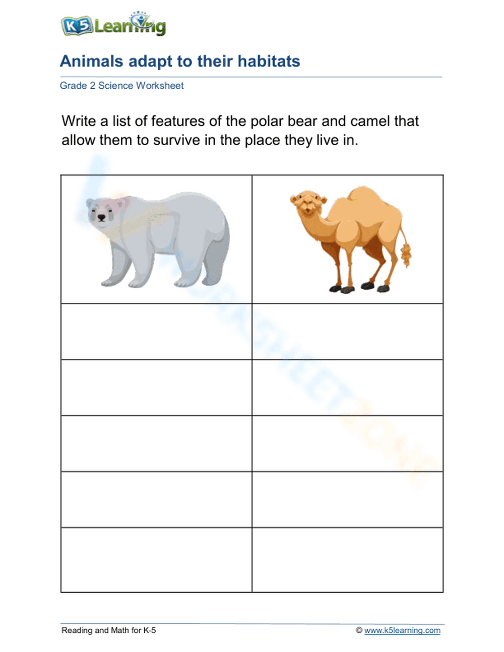 Polar bear and camel adapt to their habitats - Page 1