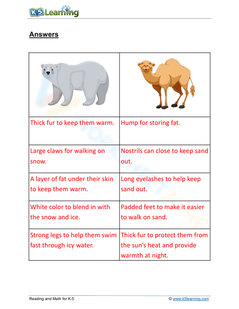 Polar bear and camel adapt to their habitats - Page 2