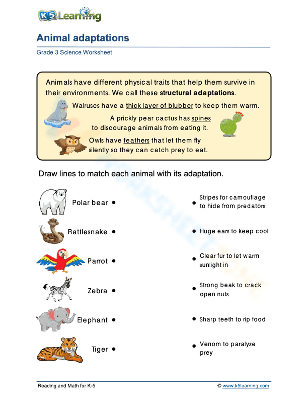 Animal adaptations 1 - Page 1