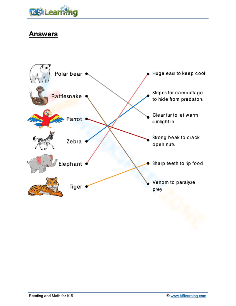 Animal adaptations 1 - Page 2