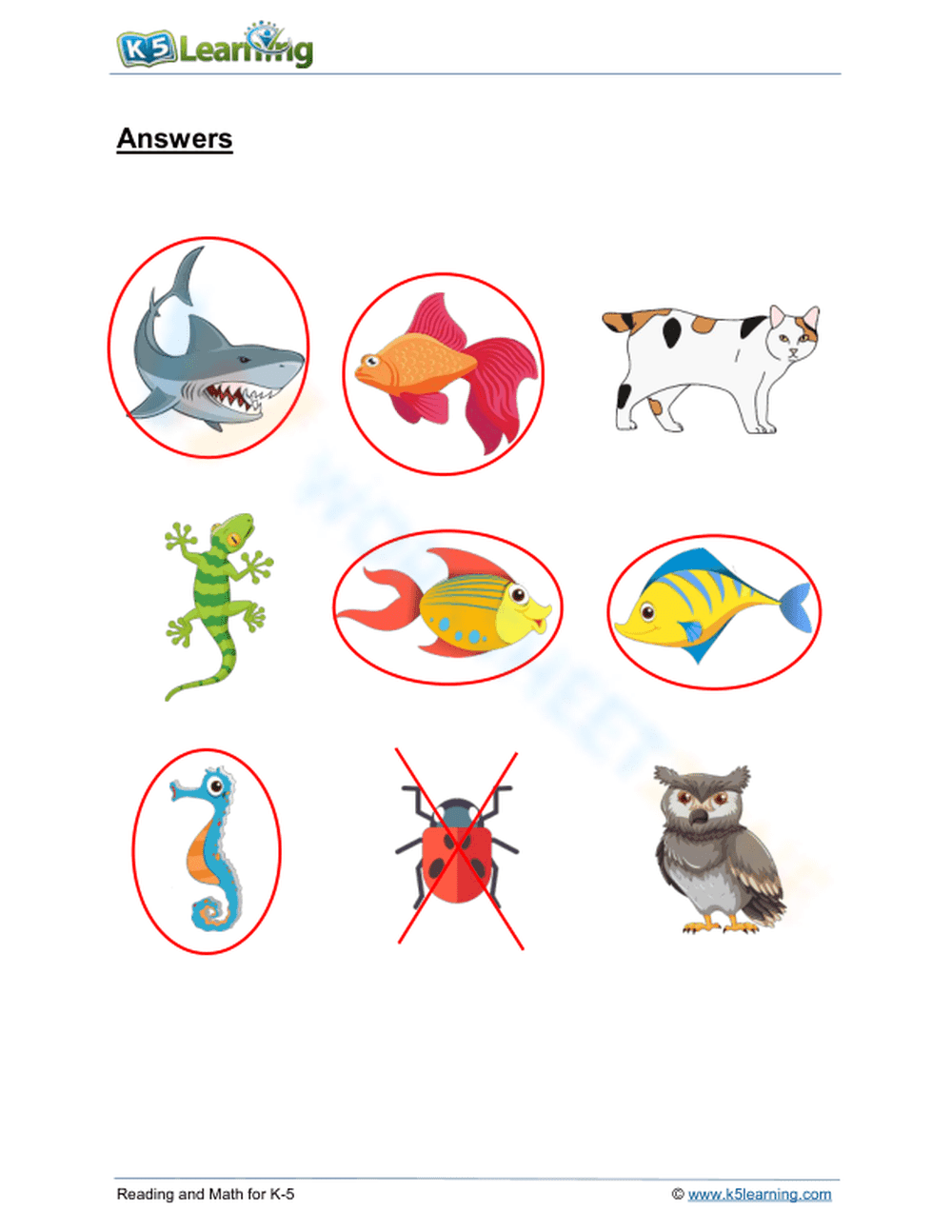 Types of animals: fish - Page 2