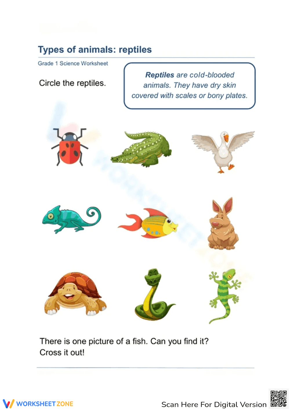 Fun Reptile Identification Activity for Kids - Page 1
