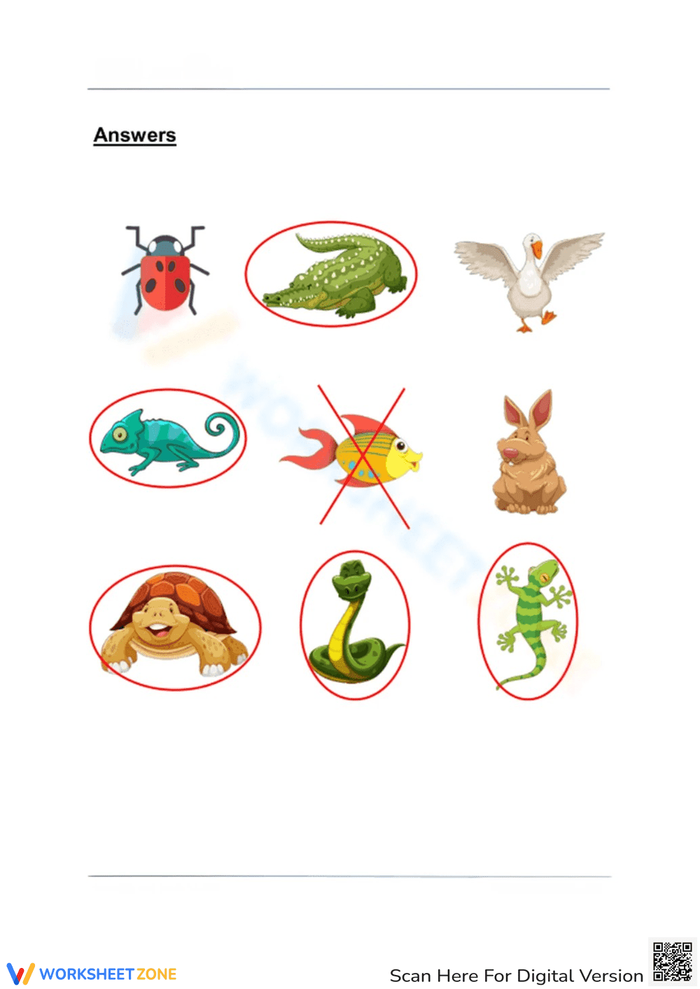 Fun Reptile Identification Activity for Kids - Page 2