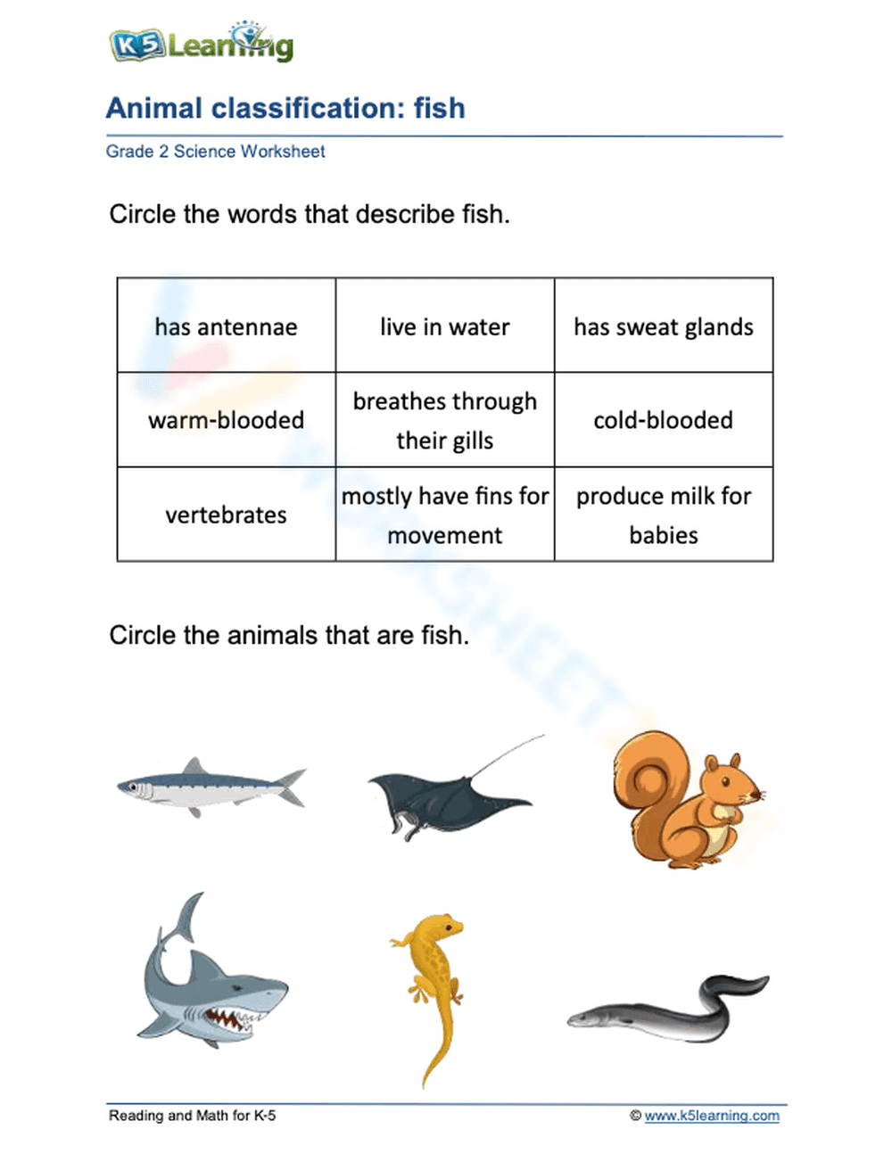 Animal classification: fish - Page 1