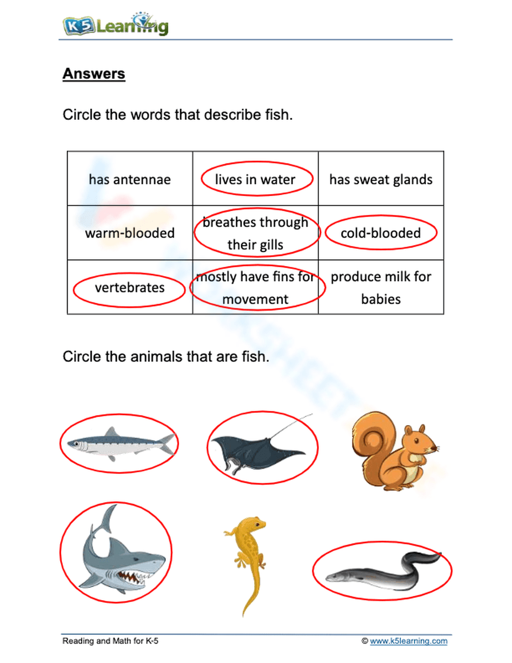 Animal classification: fish - Page 2