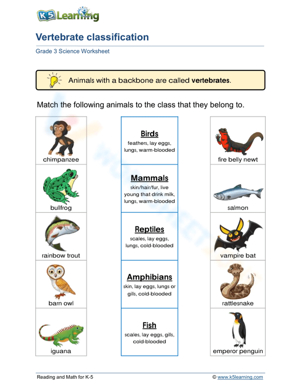 Vertebrate classification 1 - Page 1