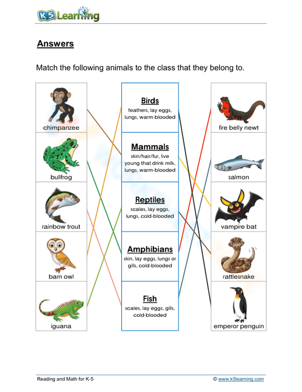 Vertebrate classification 1 - Page 2