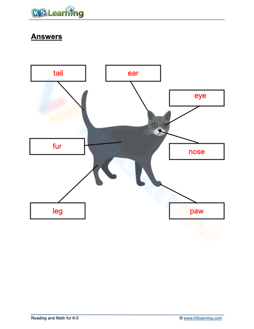 Mammal body parts - Page 2