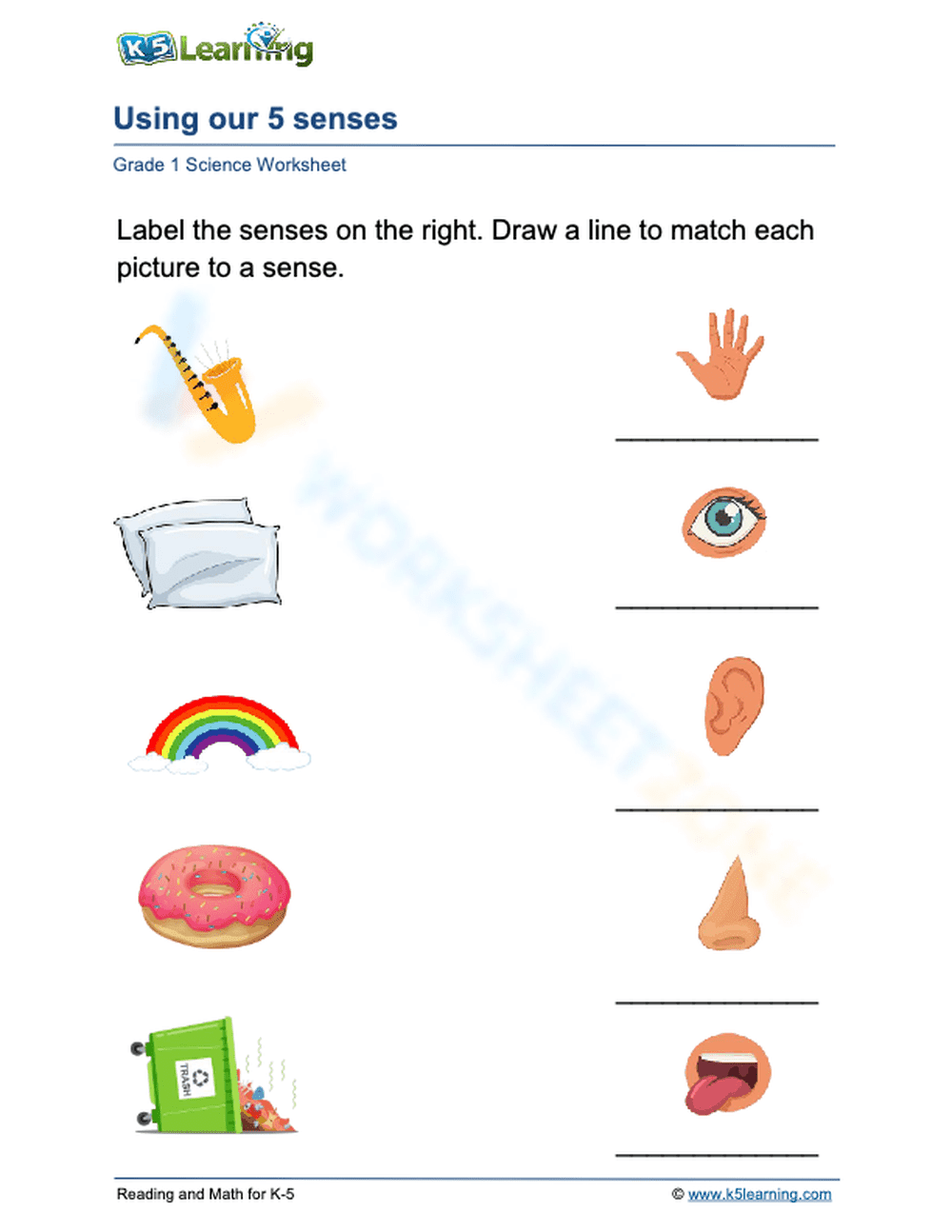 Using our 5 senses 2 - Page 1