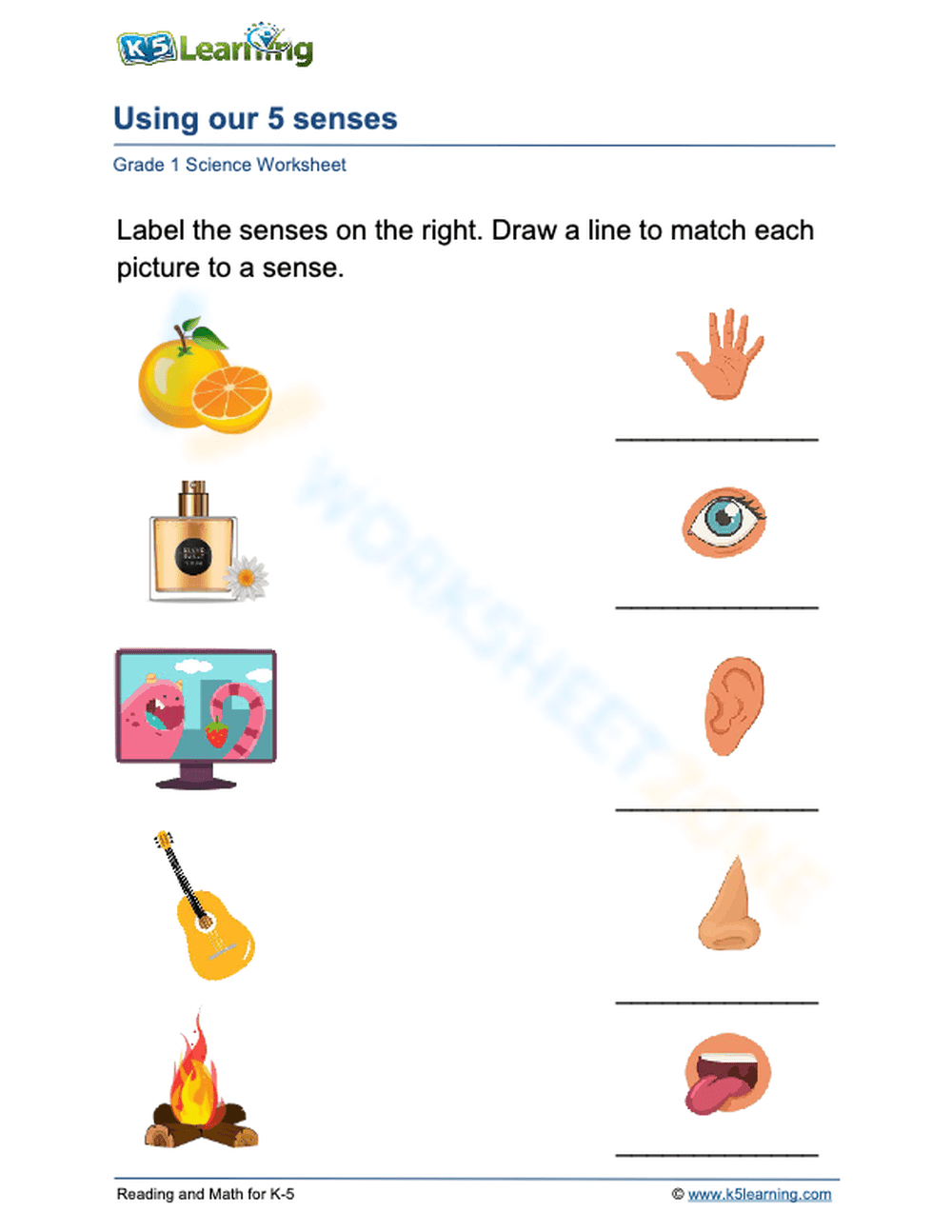 Using our 5 senses 3 - Page 1
