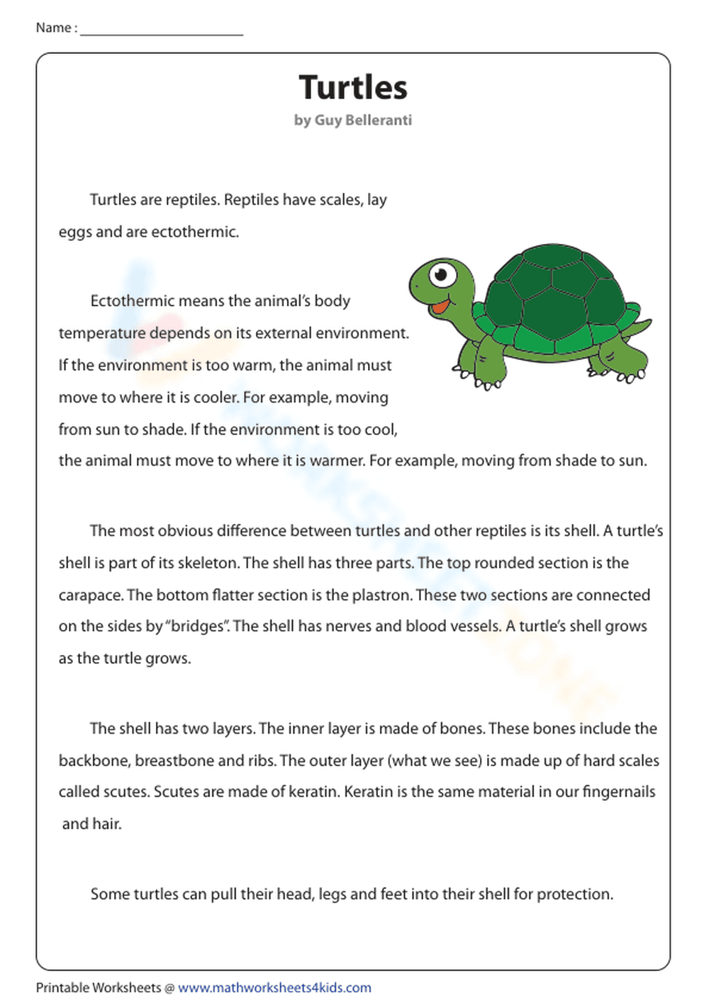 Turtles - Page 1