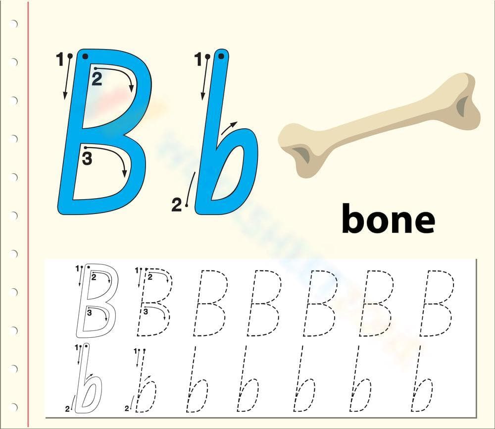 B is for Bone: Worksheet for Letter B - Page 1