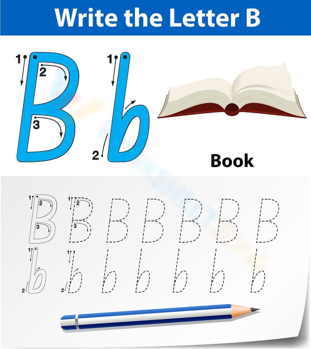 B is for Book: Discover the Letter B - Page 1