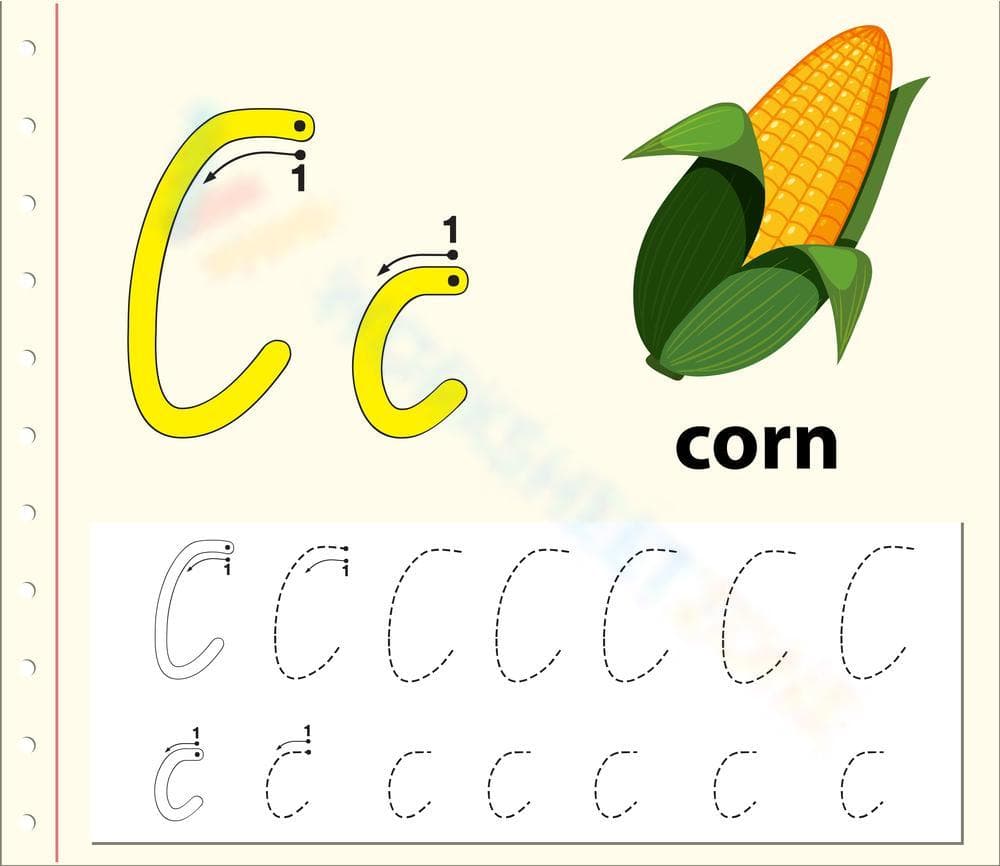 C is for Corn Worksheet - Page 1
