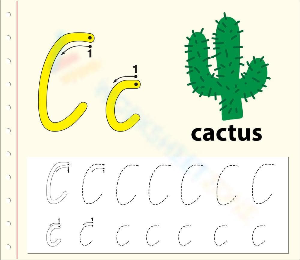 C is for Cactus Worksheet - Page 1