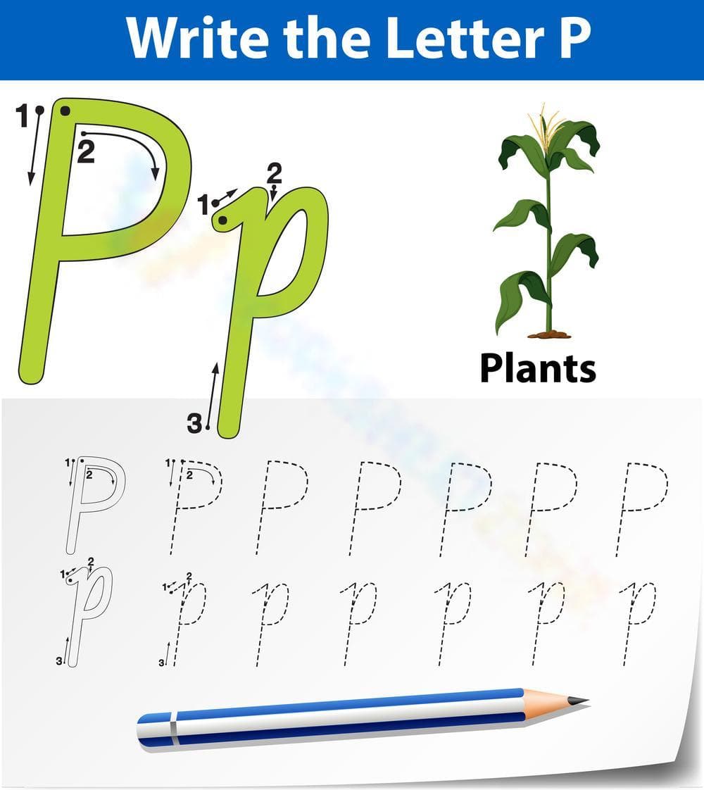 Letter P Worksheet: P is for Plants - Page 1