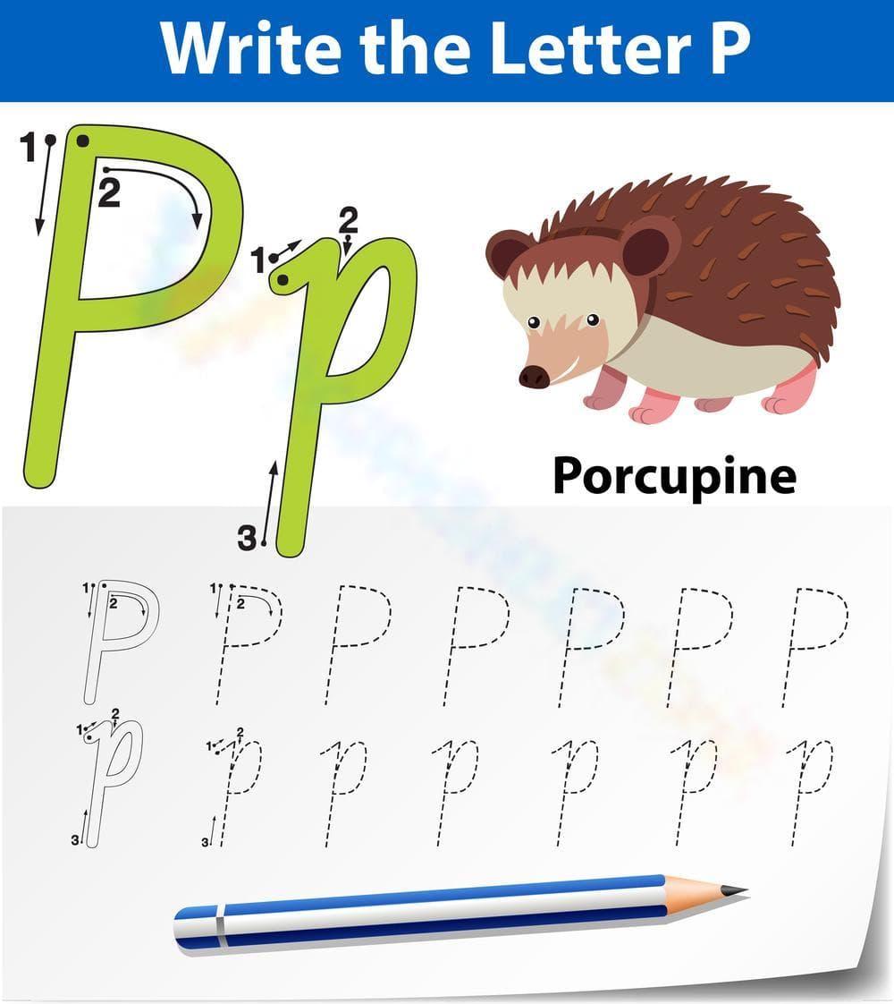 Trace Letter P Worksheet with Porcupine - Page 1