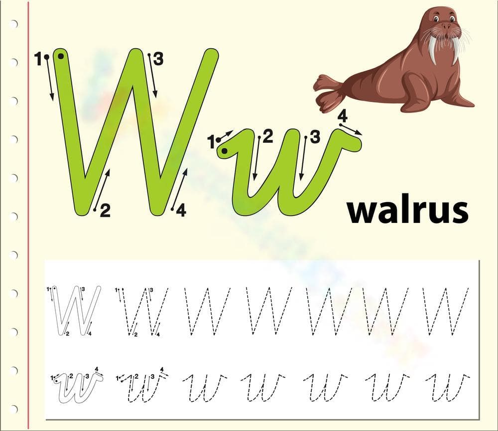 Handwriting Practice: W is for Walrus - Page 1