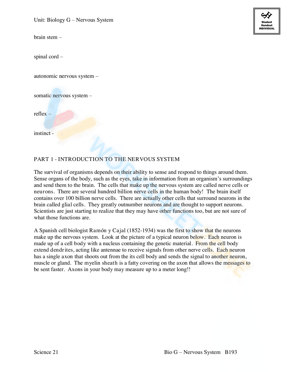 AN INTRODUCTION TO THE NERVOUS SYSTEM - Page 11