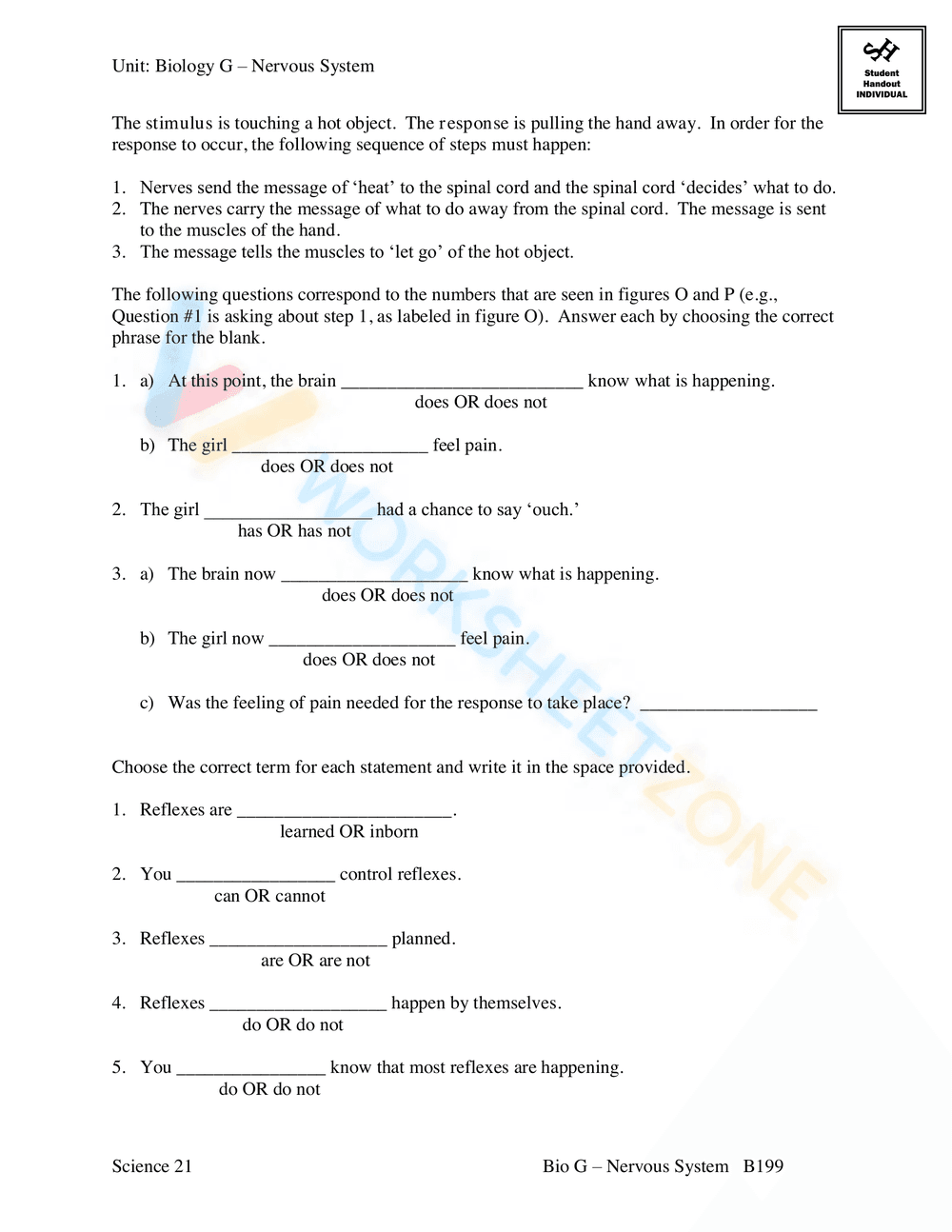 AN INTRODUCTION TO THE NERVOUS SYSTEM - Page 17