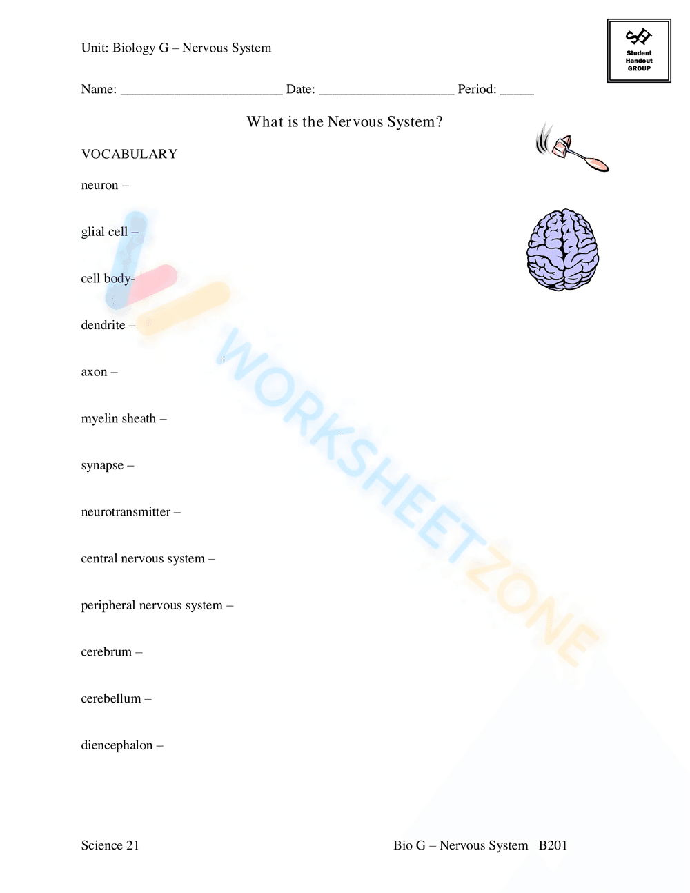 AN INTRODUCTION TO THE NERVOUS SYSTEM - Page 19