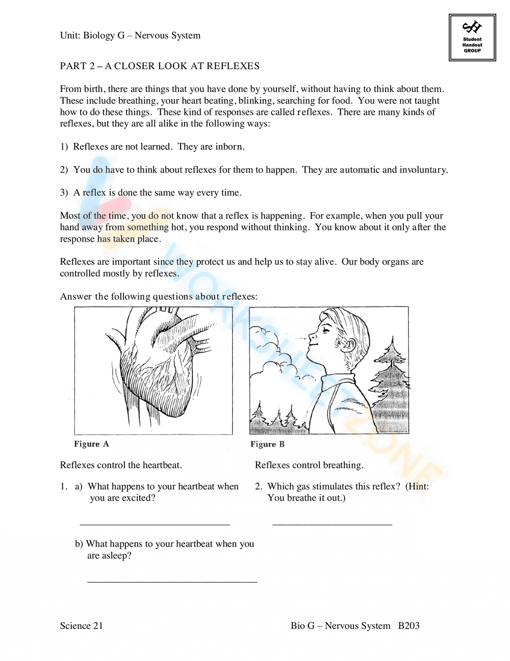 AN INTRODUCTION TO THE NERVOUS SYSTEM - Page 21